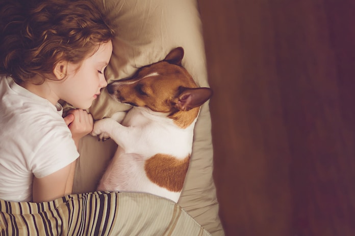 Revue de presse : « La Normandise, une histoire de famille, d’animaux et d’export »