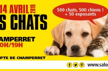 Salon Chien Chat