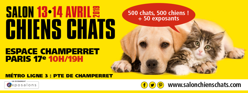 Salon Chien Chat