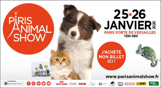 Paris Animal Show