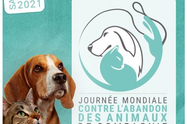 Normandise Petfood, partenaire de la journée mondiale contre l’abandon 2021