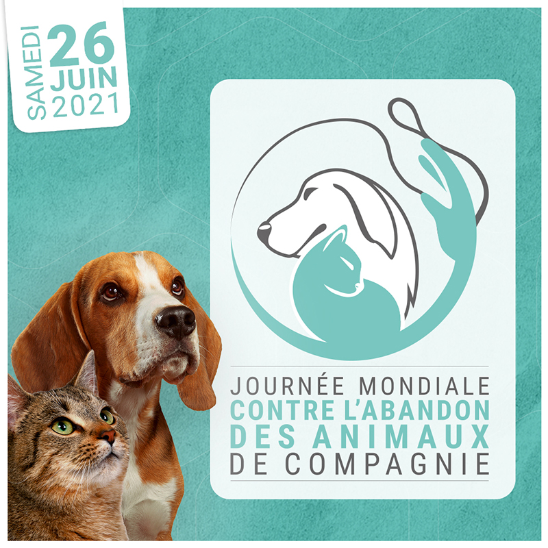 Normandise Petfood, partenaire de la journée mondiale contre l’abandon 2021