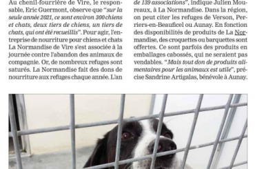 La Manche libre : «L’abandon d’animaux, un fléau à la veille des vacances»