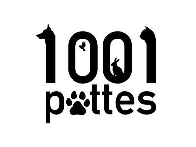 1001 pattes