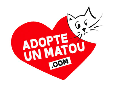 Adopte un matou