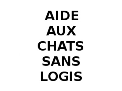 Aide aux chats sans logis