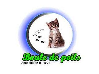 Boule de poils