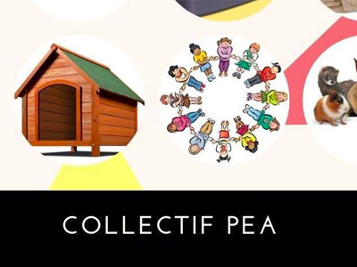 Collectif PEA