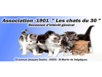 Les Chats du 30