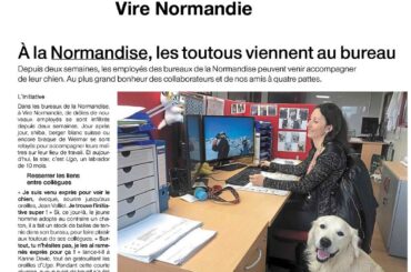 A la NORMANDISE, les toutous viennent au bureau