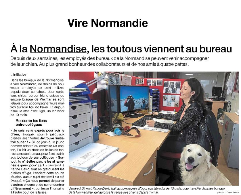 A la NORMANDISE, les toutous viennent au bureau