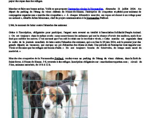 La Normandise organise une marche pour lutter contre l’abandon des animaux de compagnie